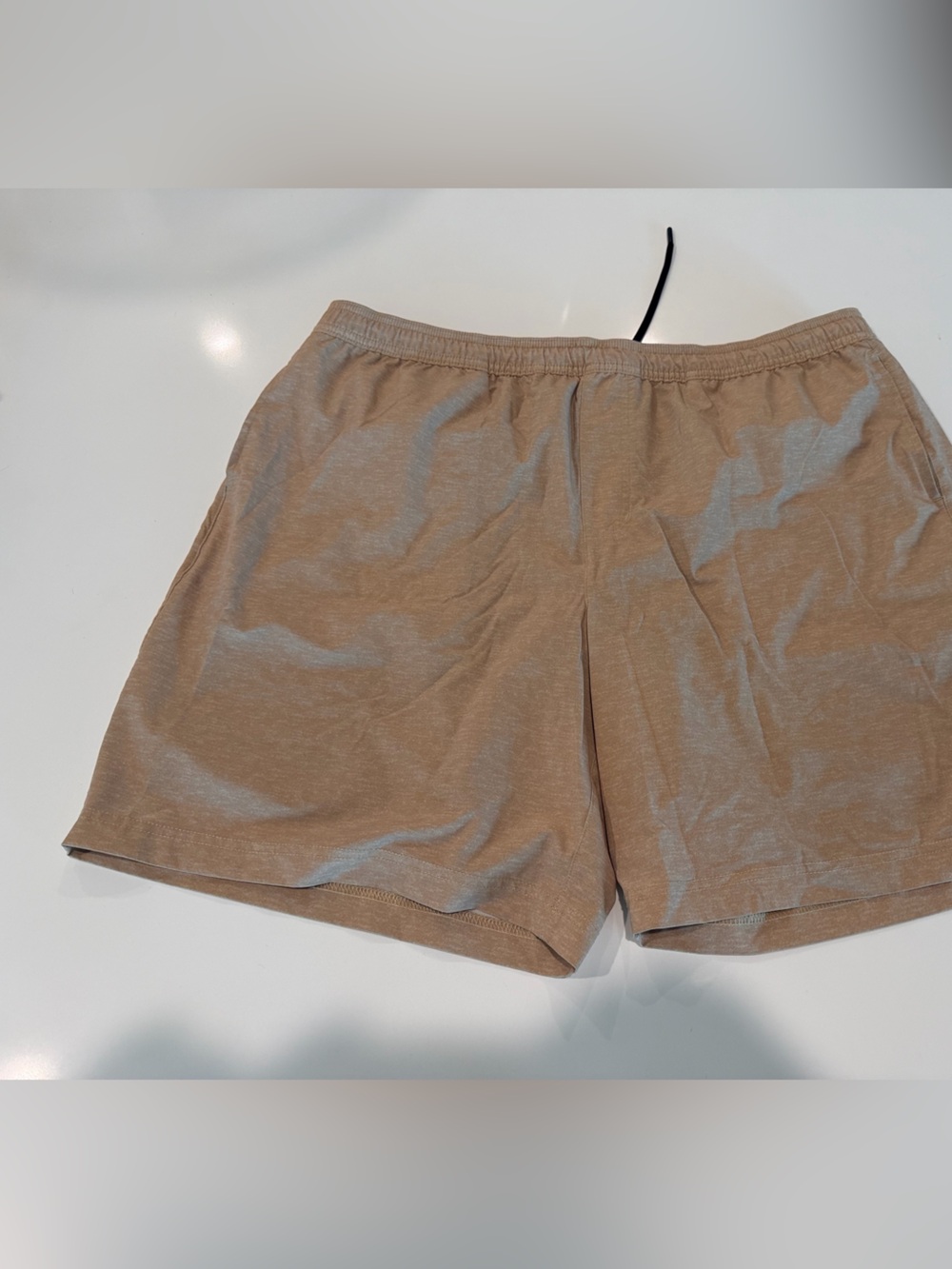 Chubbies Shorts